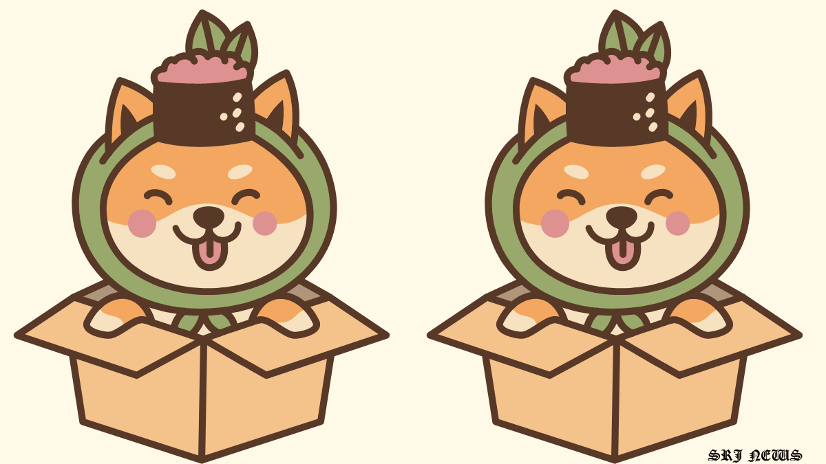 1 SHIB to USD Calculator: How Much is 1 Shiba Inu (SHIB) in US Dollars?