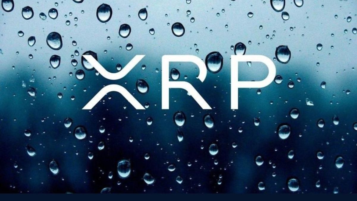 XRP Army Fights Back: Petition Launched to Halt SEC's Appeal in Ripple Case